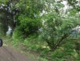 /album/fotogaleria-galeria/a1544421-1390387387903866-1938779756-n-jpg/