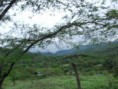 /album/fotogaleria-galeria/a1920632-1390387354570536-650089098-n-jpg/